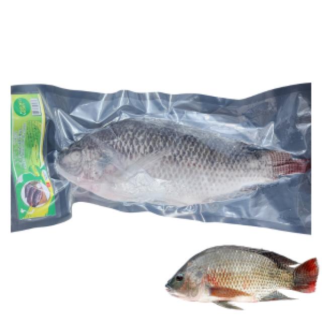 冷凍ティラピア