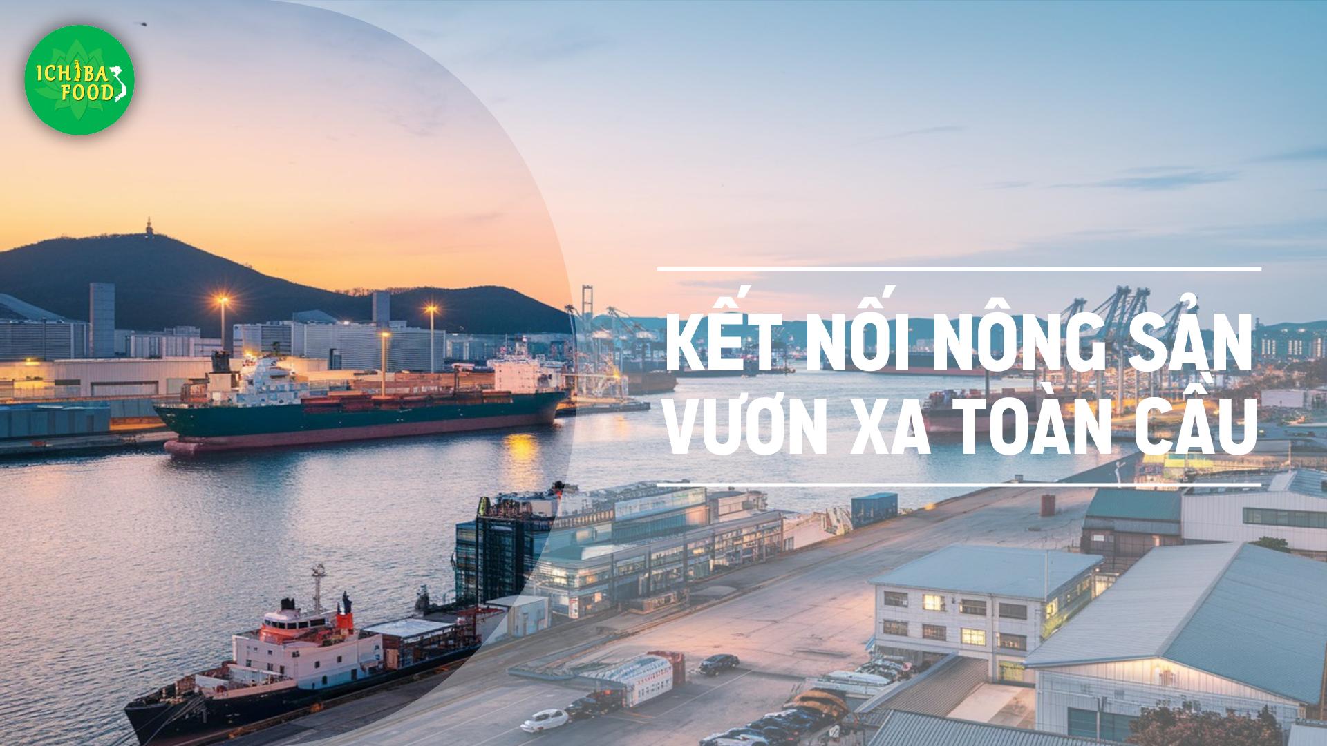 Kết nối nông sản vươn xa toàn cầu